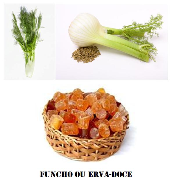 Alimentos de Outono Funcho/Ervadoce CLÍNICA DO