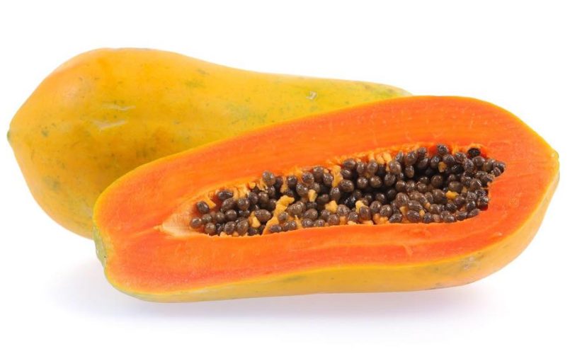 A excelente papaia