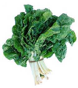 Folic Acid and Pregnancy