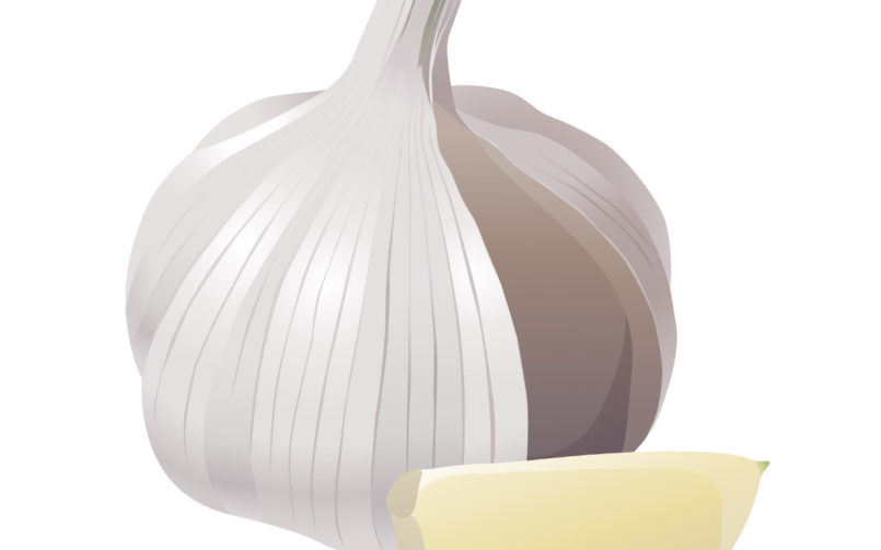 Garlic for your training