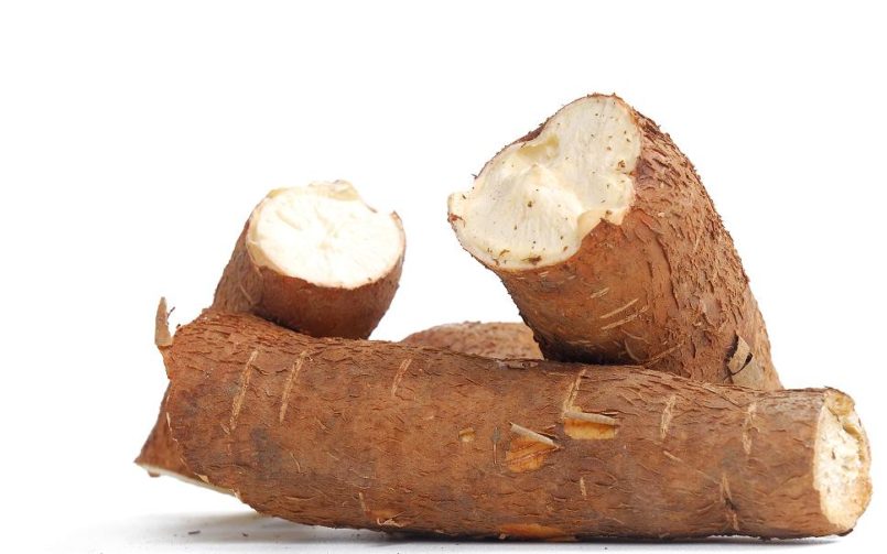 Meet the cassava