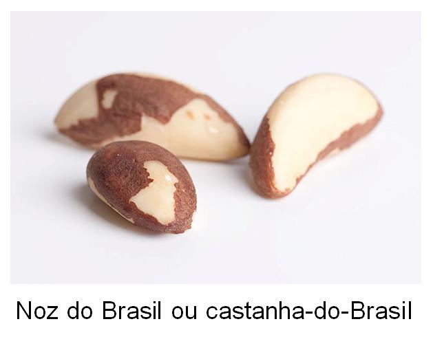 Noz do Brasil