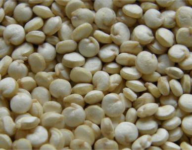 Quinoa
