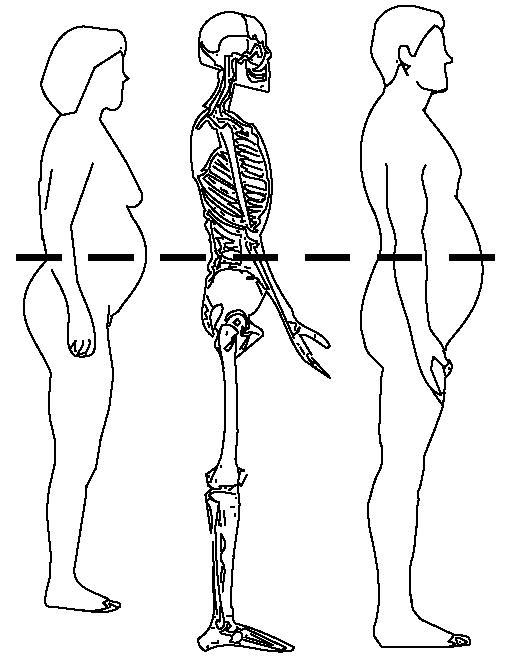 Riscos da gordura abdominal