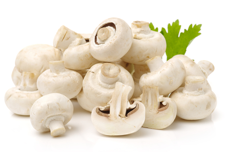 Do you like mushrooms?